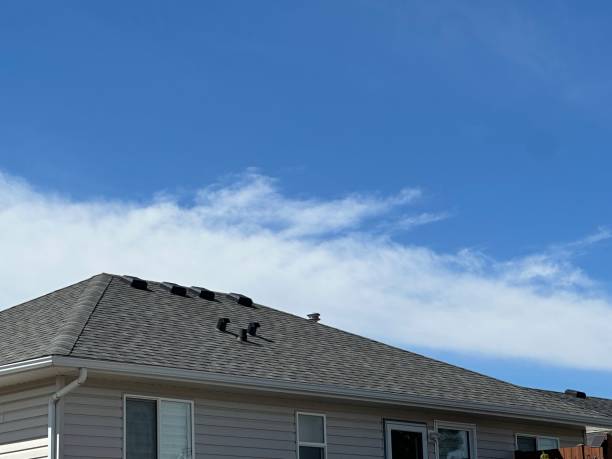 Best Rubber Roofing (EPDM, TPO)  in Villanova, PA